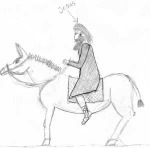 Riding on a Donkey