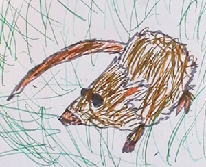 Mouse