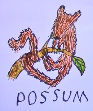 Possum