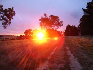 Sunset